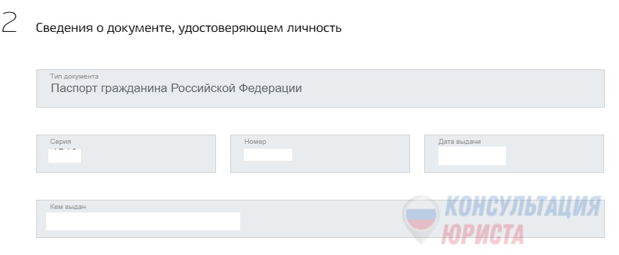 Онлайн подача жалобы в Роскомнадзор